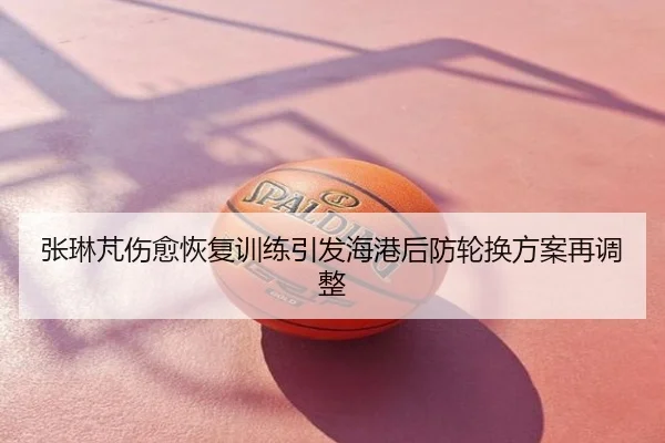 张琳芃伤愈恢复训练引发海港后防轮换方案再调整
