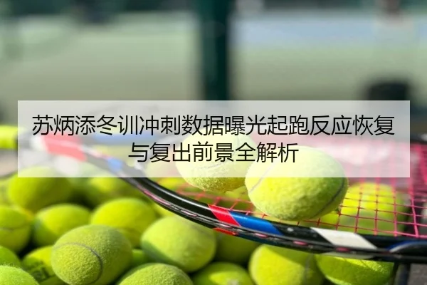 苏炳添冬训冲刺数据曝光起跑反应恢复与复出前景全解析